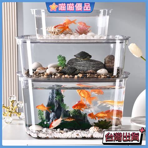 魚缸盆栽